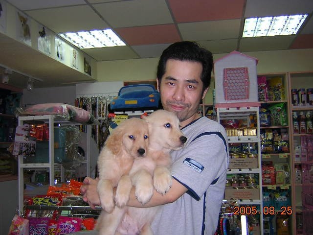 陈道明的第六张照片--安溪婚介网