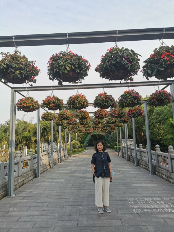 一叶知秋的第二张照片--安溪婚介网