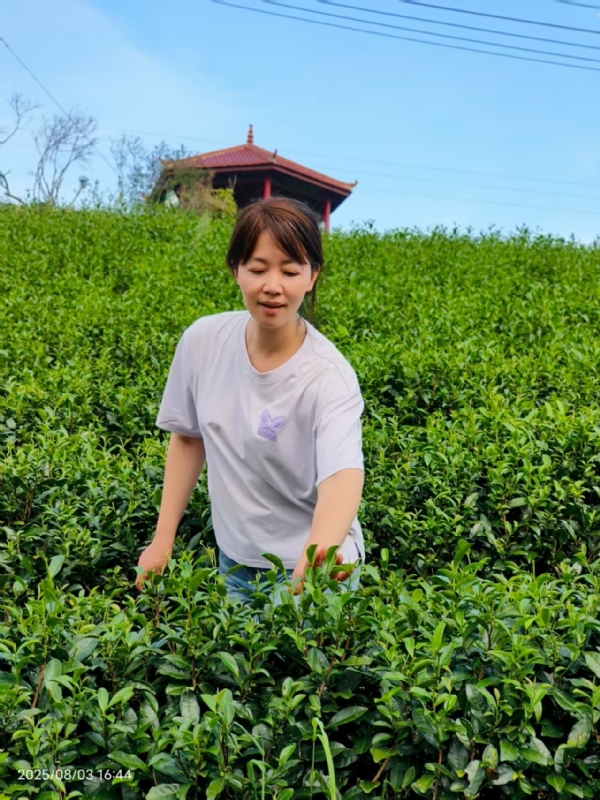 Q绮芳的第一张照片--安溪婚介网